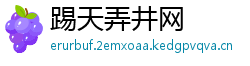 踢天弄井网